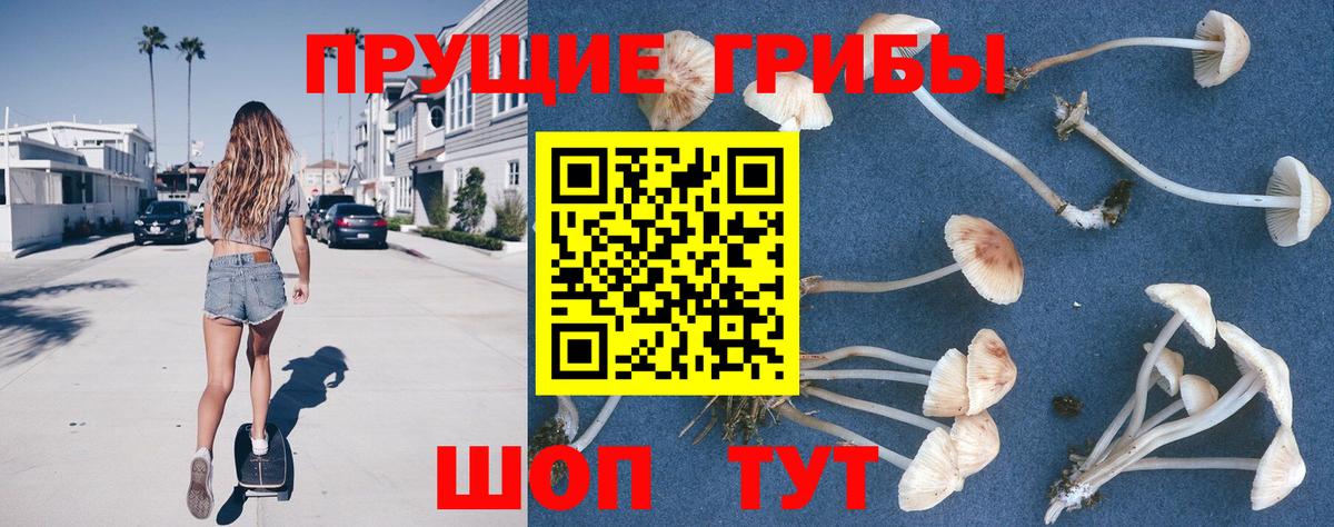 Галлюциногенные грибы Psilocybine cubensis  Вход с VPN  где найти наркотики  Псилоцибиновые грибы ЛСД  Дзержинский 
